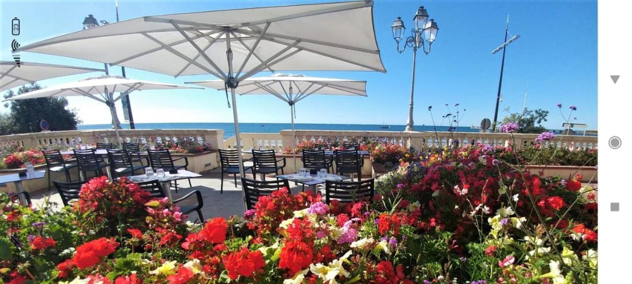 莱萨布勒-多洛讷La Terrasse公寓 外观 照片